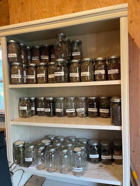 “Enough for 10 acres of land”—the students harvested dozens of mason jars’ worth of seeds of native plants.